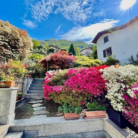 Eden Sul Lago Di Como Nesso Dış mekan fotoğraf